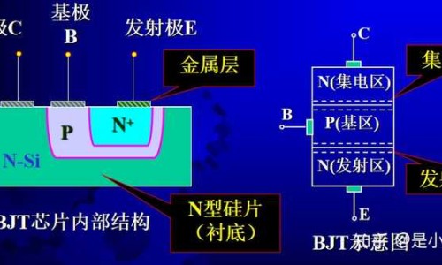 糖尿病人能吃哪些水果比较好-糖尿病人能吃的水果.网 - 糖尿病人能吃的水果有哪些图片大全,糖尿病人能吃的水果是哪些