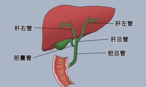 糖尿病人能吃哪些水果比较好-糖尿病人能吃的水果.网 - 糖尿病人能吃的水果有哪些图片大全,糖尿病人能吃的水果是哪些