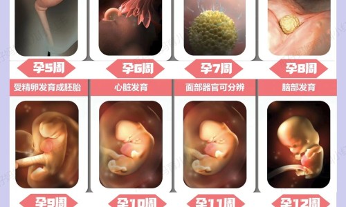 糖尿病人能吃的水果.网 - 糖尿病人能吃的水果有哪些图片大全,糖尿病人能吃的水果是哪些